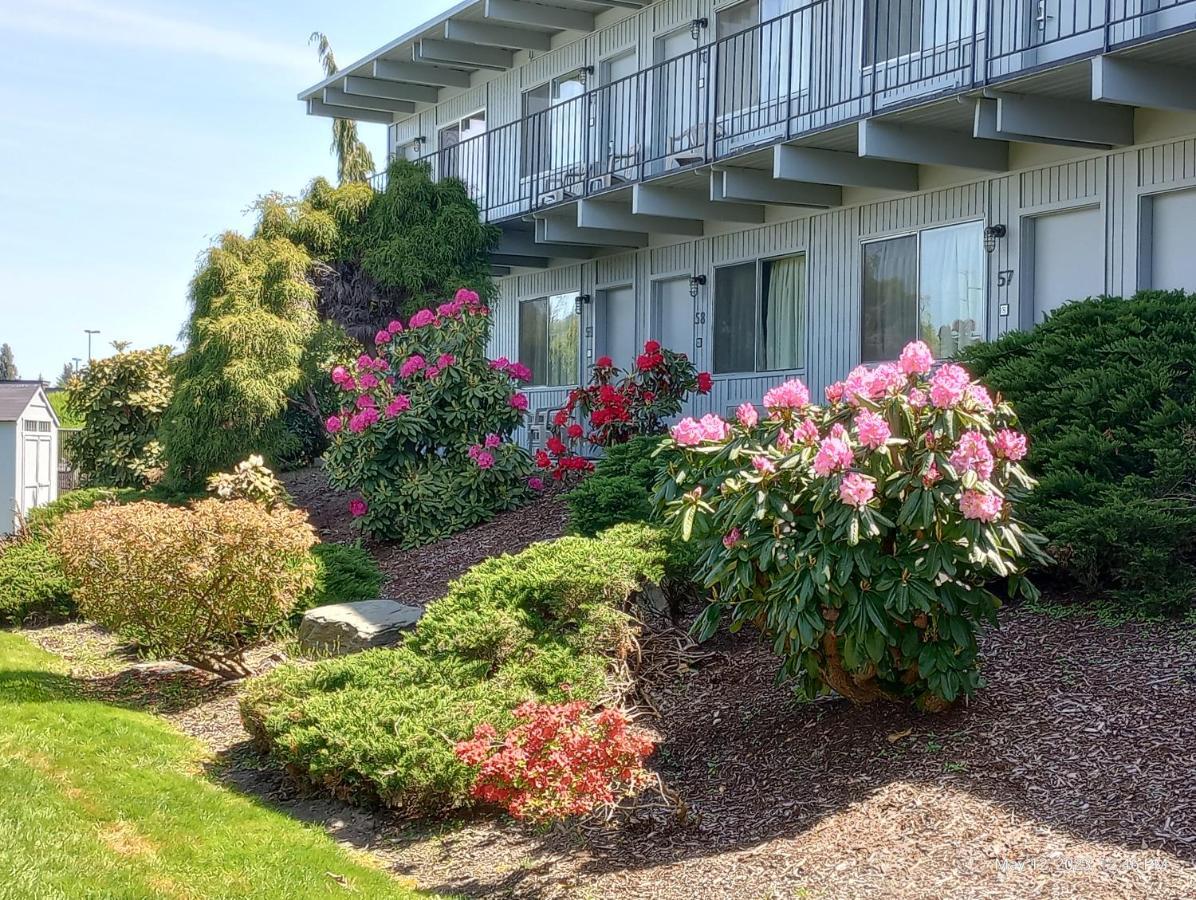 Cocusa Motel Burlington Exterior photo